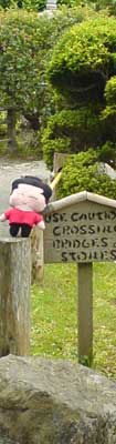 Jimmy  Plushie in California